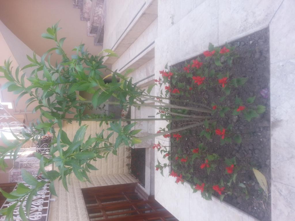 Lanova Hotel Kemer Buitenkant foto